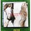 Gạch Trung Quốc 80x80 ngọc thạch 8679