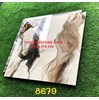 Gạch Trung Quốc 80x80 ngọc thạch 8679