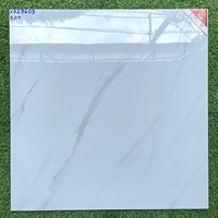Gạch lát nền Prime 600x600 29603