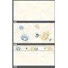 Gạch ốp tường Tasa 30x60 2001-2002-2003
