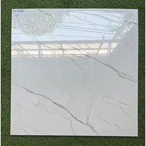 Gạch lát nền Viglacera 80x80 TB8996