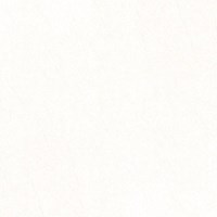Gạch Prime 60x60 11630
