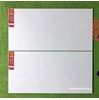 Gạch ốp tường Prime 40x80 bóng 48007