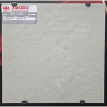 Gạch lát nền Taicera 30x30 G38Q03JF