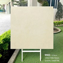 Gạch lát nền Tasa 100x100 mờ 9903
