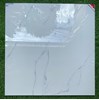 Gạch lát nền Prime 100x100 OV21003
