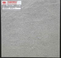 Gạch lát nền Taicera 30x30 G38Q28JF