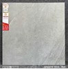 Gạch lát nền Prime 60x60 mờ NY613