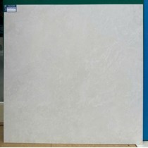Gạch lát nền Viglacera 100x100 mờ SH25-GSMC101005