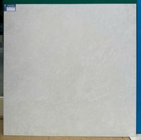 Gạch lát nền Viglacera 100x100 mờ SH25-GSMC101005