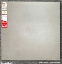 Gạch lát nền Prime 60x60 mờ NY603