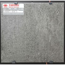 Gạch lát nền Taicera 30x30 G38Q08JF