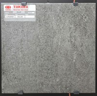 Gạch lát nền Taicera 30x30 G38Q08JF