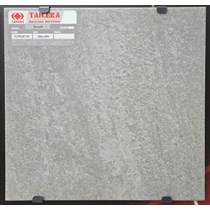 Gạch lát nền Taicera 30x30 G38Q07JF