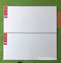 Gạch ốp tường Prime 40x80 bóng 48000