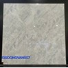 Gạch lát nền Đồng Tâm 100DONGVAN007