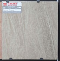 Gạch lát nền Taicera 30x30 G38Q16JF
