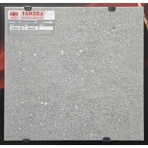 Gạch lát nền Taicera 30x30 G38Q37JF