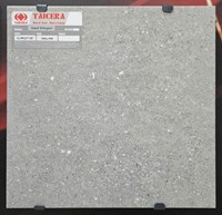 Gạch lát nền Taicera 30x30 G38Q37JF
