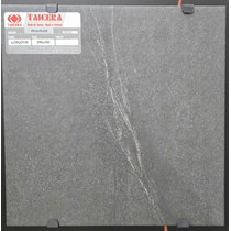 Gạch lát nền Taicera 30x30 G38Q29JF