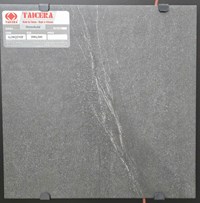 Gạch lát nền Taicera 30x30 G38Q29JF