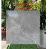 Gạch lát nền Tasa 80x80 8562