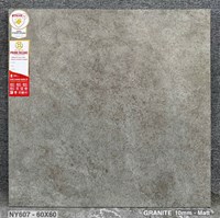 Gạch lát nền Prime 60x60 mờ NY607