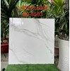 Gạch lát nền Tasa 80x80 8563