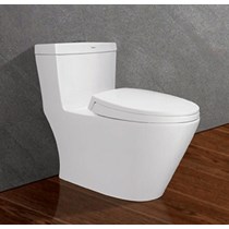 Bồn cầu 1 khối Viglacera V62