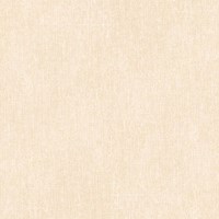 Gạch Prime 60x60 9908