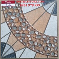 Gạch sân vườn giá rẻ 50x50 5502