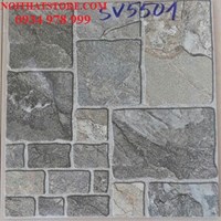 Gạch sân vườn giá rẻ 50x50 SV5501