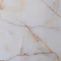 Gạch vi tinh ngọc thạch 100x100 HTC10102