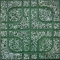 Gạch vỉa hè màu xanh 40x40 QP2