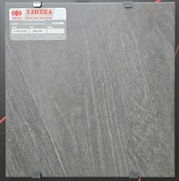 Gạch lát nền Taicera 30x30 G38Q19JF