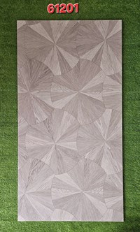 Gạch giả gỗ Trung Quốc 60x120 mờ 61201
