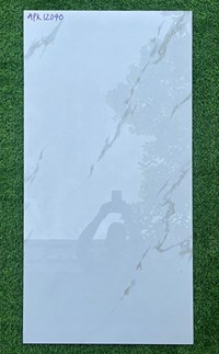Gạch ốp lát Ấn Độ 60x120 APK12040