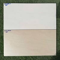 Đá ốp tường Vitaly 30x60 mờ VNZ3699N-VNZ3699D