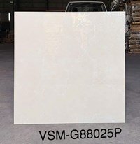 Gạch lát nền Việt Ý 80x80 bóng VSM-G88025P