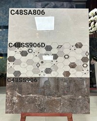 Gạch ốp tường Apodio 40x80 C48SA806-C48SS906D-C48SS906