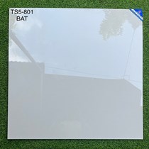 Đá 2 da Viglacera 80x80 TS5-801