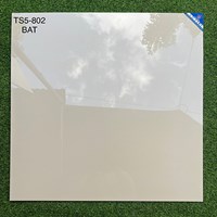 Đá 2 da Viglacera 80x80 TS1-802