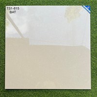 Đá 2 da Viglacera 80x80 TS1-815 vân xà cừ