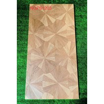 Gạch giả gỗ Trung Quốc 60x120 mờ NGP61203