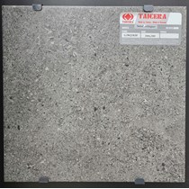 Gạch lát nền Taicera 30x30 G38Q38JF