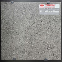 Gạch lát nền Taicera 30x30 G38Q38JF