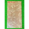 Gạch giả gỗ Trung Quốc 60x120 mờ NGP61204