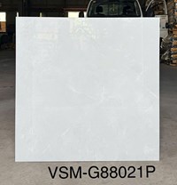 Gạch lát nền Việt Ý 80x80 bóng VSM-G88021P