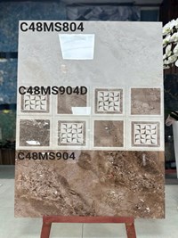 Gạch ốp tường Apodio 40x80 C48MS804-C48MS904D-C48MS904