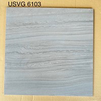 Gạch 60x60 mờ xi măng USVG-6103